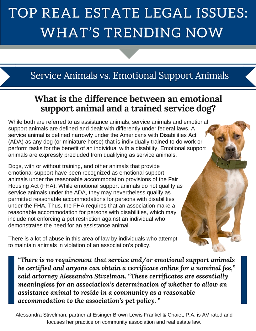 Service Animals vs. Emotional Support 