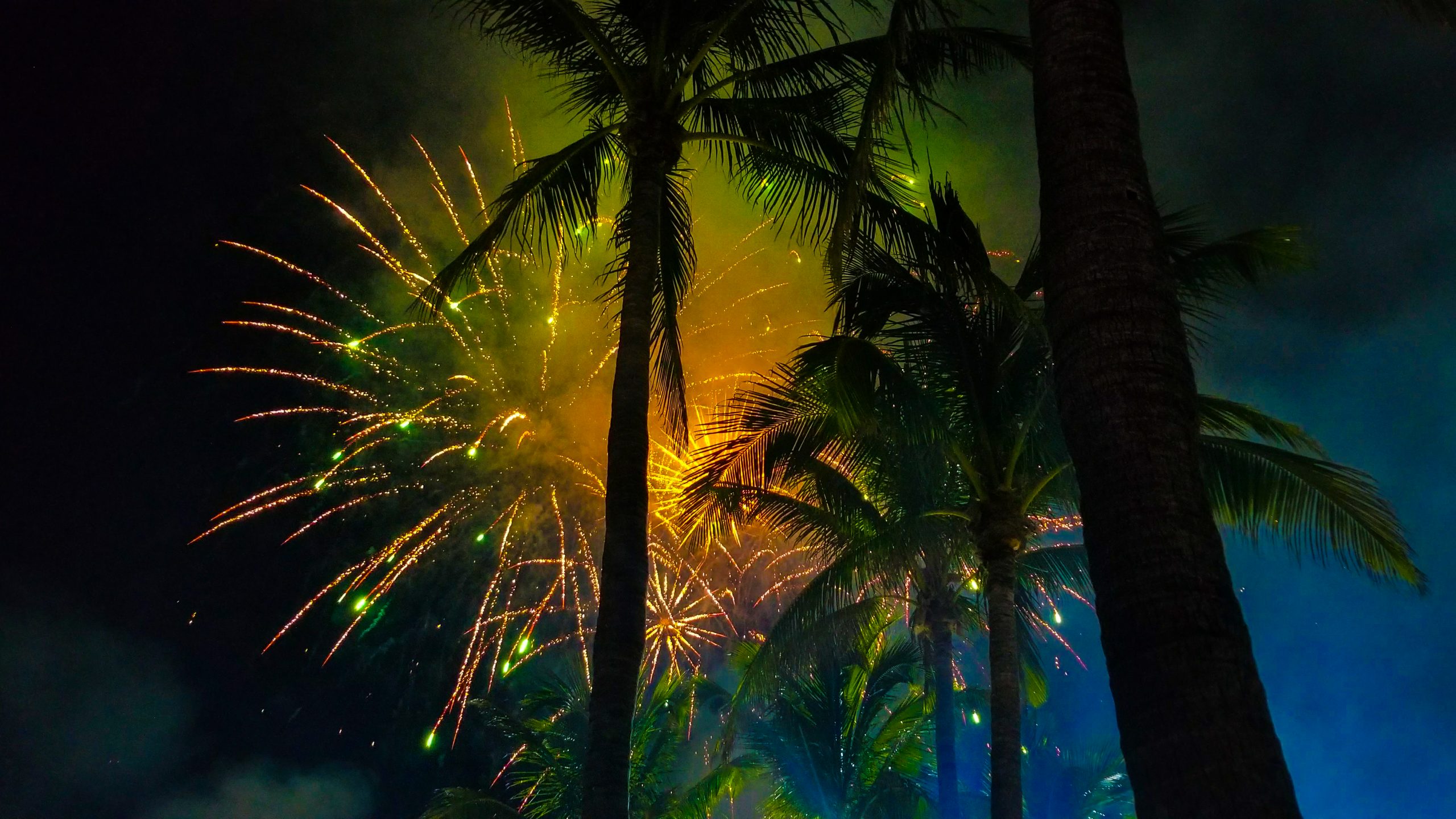 Fireworks in Florida